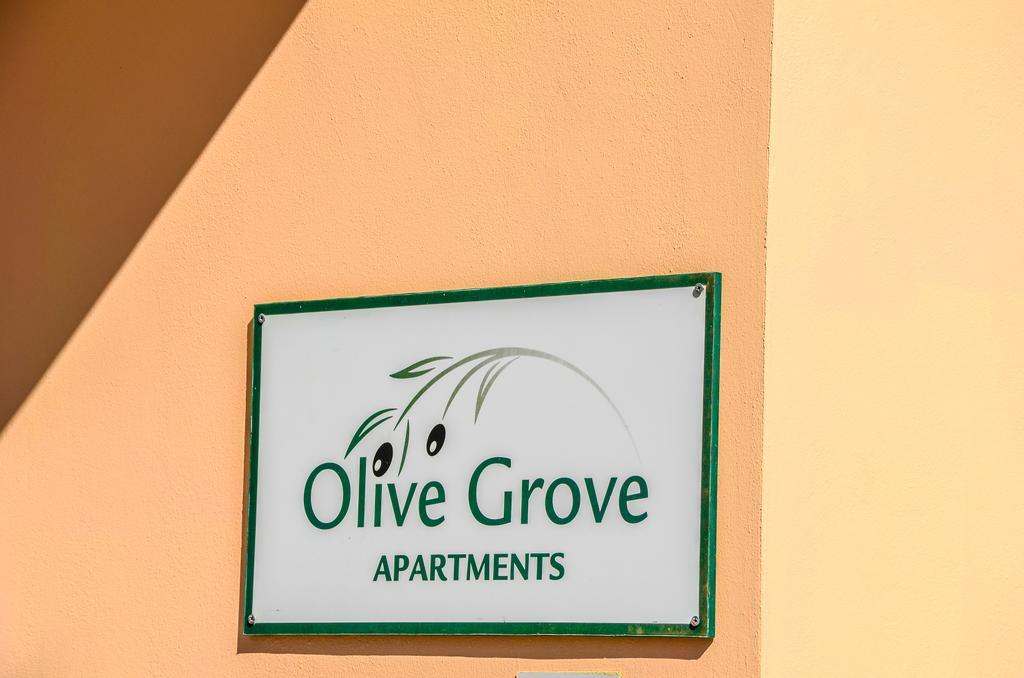 Olive Grove Apts Lithakia  Exterior foto
