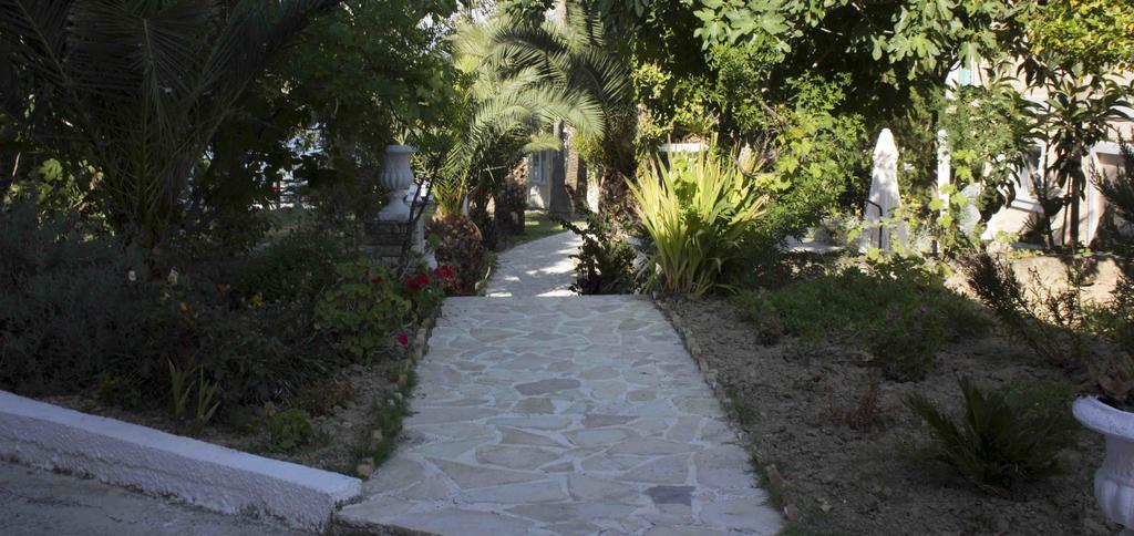 Olive Grove Apts Lithakia  Exterior foto